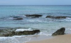 温馨关怀：致婆婆的细致问候短信，表达我们的关爱与感激！