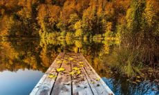 探秋：用华丽的文字细腻地描述秋季大地的变幻多姿，一点一滴定格淡雅的秋日美景