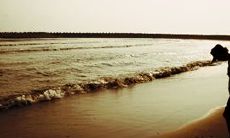 精选爆炸感十足、让人心痛到扎心的关于爱情的句子