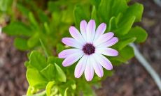 用唯美简短的语言表达中秋节的家庭亲情之美