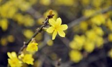 重逢多年好友的欢欣心情：同窗情深，老同学相聚别样开心的句子