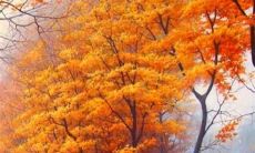 秉持人间至真之道：值得长期积累的触动心灵的优美句子，关于亲情的感人故事与温暖思考