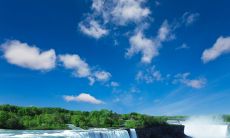 如何用有温度的问候短信提升销售业绩？