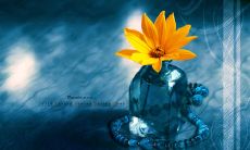 分享一些今天值得发朋友圈的精美、富有启发性的句子！