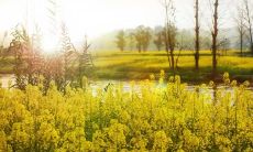 享受和孩子一起度过的精彩时光：感受幸福与快乐的一天