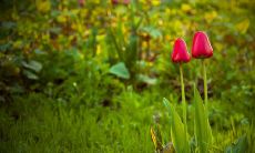 那些超越时间与空间的，无法割舍的亲情：一个描绘亲情永恒的句子