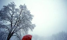 分享男人让你感到失望伤心的句子 - 表达情感的短语