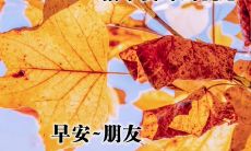 一份令人愉悦的美好早晨问候：美丽句子赠送