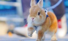 送上温馨祝福的简单句子，愿您每一天都充满开心与快乐