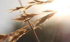 一些可以让女生开心的幽默语句和笑话