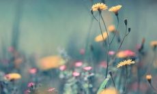 如何化解分手带来的创伤？让心痛缓解的句子推荐！