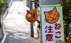 一同走过旅途，分享欢乐无穷的愉快旅游体验