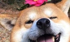 如何给你的社交群组起一个沙雕有趣的、挑逗性十足的搞笑名称？