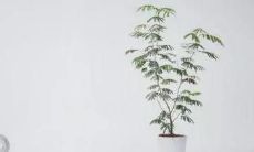 小学毕业生写的令人感动的句子，触动人心，令人流泪