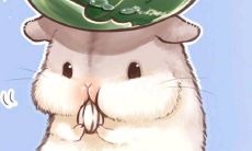 感激你的存在：最美爱情句子与感恩之情