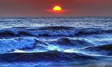 收藏不浪费粮食的众多名言警句，珍惜每一粒粮食，共同践行可持续发展！