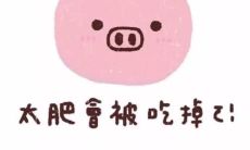 、温馨、励志、正能量，让你的微信朋友圈充满快乐和美好的句子！