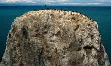 冬日祝福短信-美好祝愿与温馨问候为您送上舒适与温暖