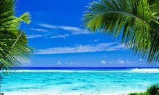 发送温暖祝福的春季短信：表达关怀与问候