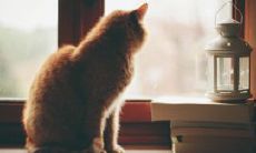 男友总是想让我保持愉悦心情的鼓励话语