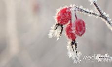 离婚后悔的遗憾之句，让你痛彻心扉，思虑再三