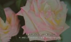 阳光唯美句子鼓舞士气 排山倒海的励志说说语录 让你振奋精神迎接挑战