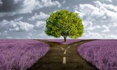 哀怨之亲情：寄语悲愤之满腔句子