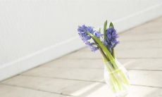 几句让你在瞬间欢笑开怀的妙趣皮语句！