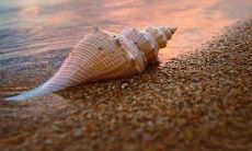 如何避免未来的悔恨：探讨令人深思的不想后悔的句子的启示