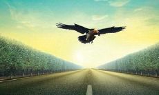 对未来充满美好期望的令人心悸的语句