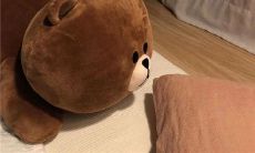 给客户发送的周末问候短信 - 为您创建愉悦周末的贴心服务!