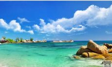 无血缘联结的话语所蕴含的深层亲情情感探析