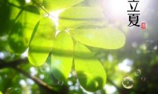 以绚丽典雅之辞，表达对立夏时节无尽的美好和神秘感的诗歌赞歌