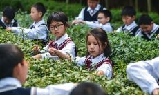 通过制定励志学习的座右铭，激发自己的潜能和激情，实现个人成长和追求成功的目标