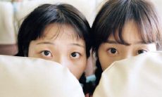 表面开心实则暗含伤感的句子