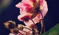 一些幽默风趣且令人捧腹的短信用来问候朋友和家人