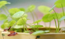 如何做到让你的爱人感到无比幸福和满足？一份有效的老婆快乐指南