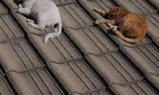 101个让你开心不已的句子，让你笑到嗓子眼的快乐短语