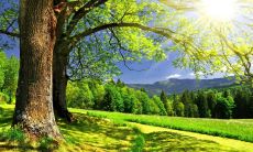 汇集精英团队的口号，每一个都有助于打造卓越团队策略的全方位指南！