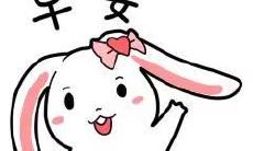 欢迎来到美好的一天！享受清晨的阳光与大自然，让这些精美的早上好图片和含义深刻的文字句子成为您启动新一天的动力！