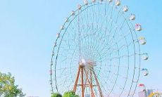 令人愉悦的、带着幸福感的，可以帮助您保持积极心态的人生句子集合！