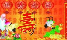 精选适用于不同场合、不同年纪老人的生日祝福语推荐，让您向他们表达您的关爱与祝福！