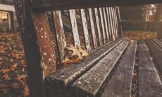 展现浓浓的情感，温暖人心的十句话