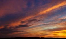 探究开心美丽的感受——一些可爱的句子分享