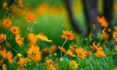 思念和心碎：我如何面对离愁别绪？