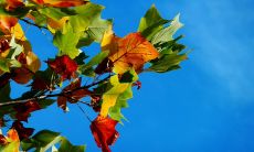 让我们在星期一开始的时候给予您一个温馨的问候短信！