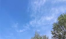 如何快速而有效地应对他人试图以你为代价获得快乐的言辞