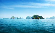 在淘宝上使用的常见短信问候语 - 如何用简短的短信祝福让你的淘宝客户感受到温暖与关怀？