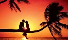 感人至深的20句抒情句子，表达关于爱情的深情话语