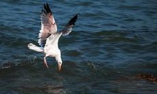 一篇收集了多个唯美句子的文章，让你沉浸在美丽的形容词和优美的语言中